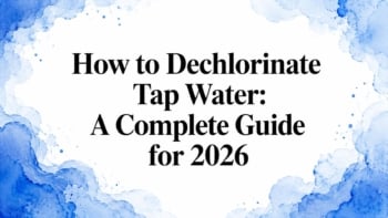 How to Dechlorinate Tap Water: A Complete Guide for 2026