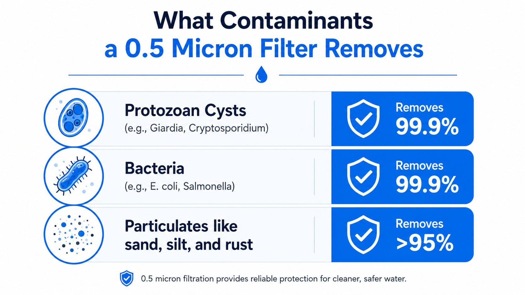 A graphic showing that a 0.5 micron water filter removes protozoan cysts, bacteria, and various particulates.