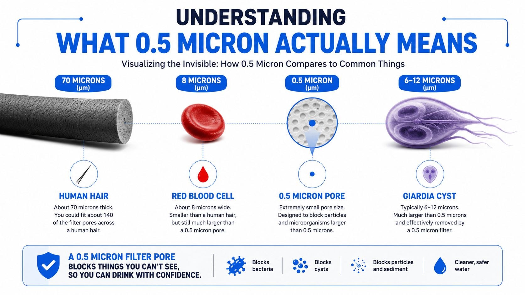 An infographic visualizing how a 0.5 micron water filter pore compares in size to human hair, red blood cells, and Giardia cysts.