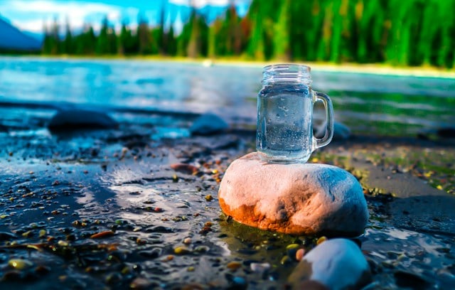 PUR and Brita water filters compared
