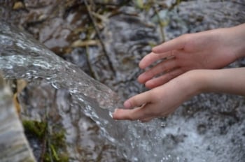 Best Water Filter for Well Water